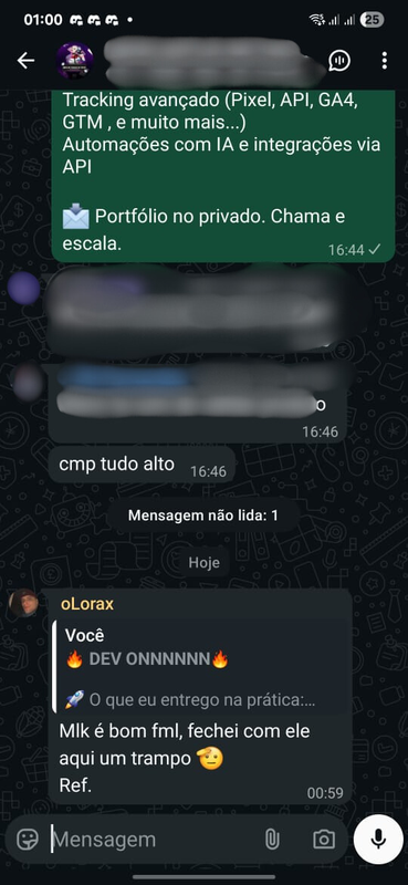 Print do produto entregue